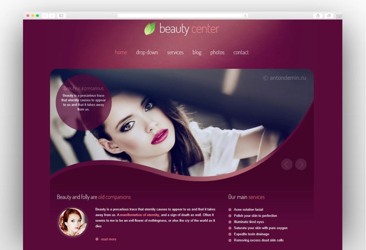 Beauty Center - Responsive WordPress Theme