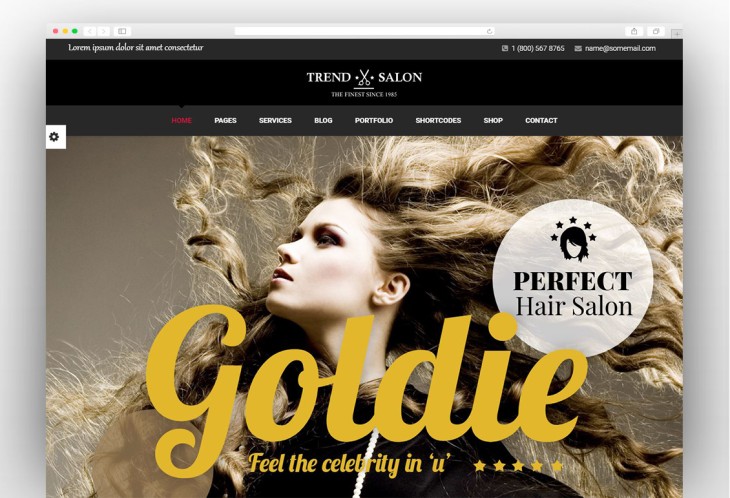 Trend Salon - Hairdresser WordPress