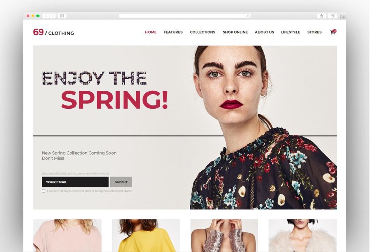 Most Popular Boutique WordPress Themes 2020 - New Template