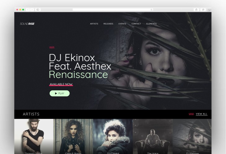 SoundRise - Artists, Producers and Record Labels WordPress Theme
