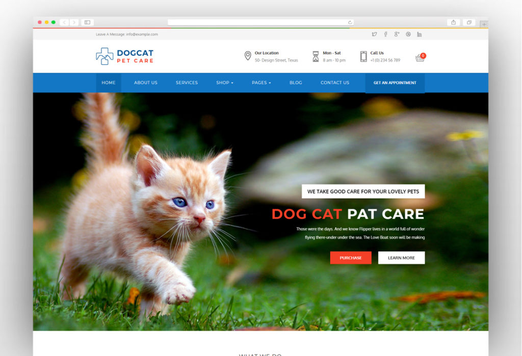 Pet Care - Veterinary WordPress Theme
