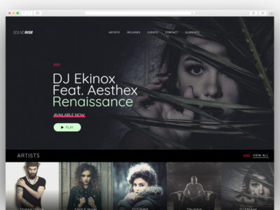 SoundRise - Artists, Producers and Record Labels WordPress Theme