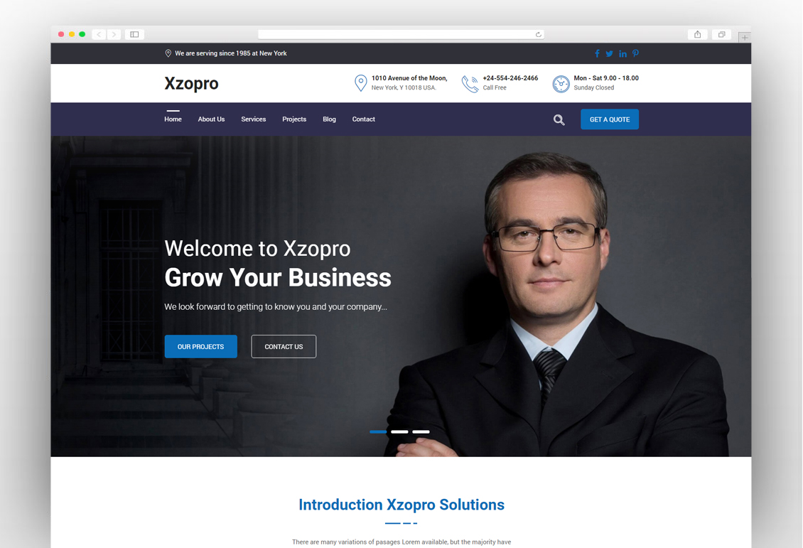 Xzopro - Finance and Business Consulting WordPress Theme