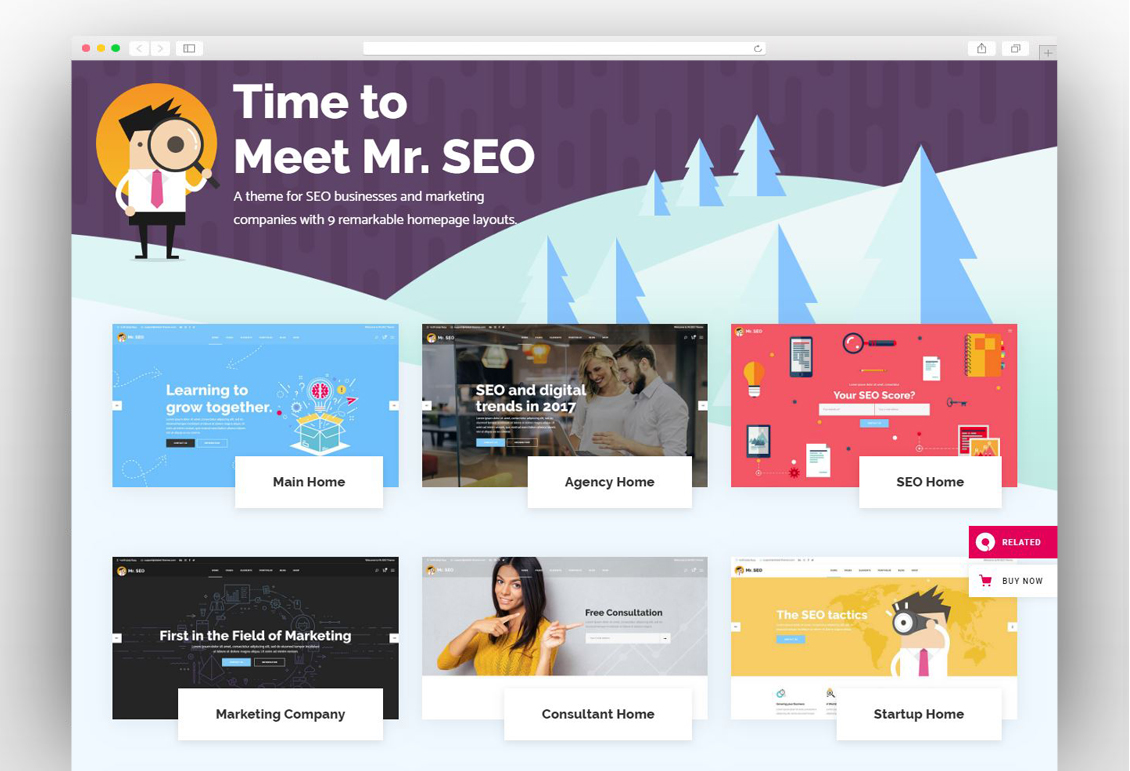 Mr. SEO - SEO, Marketing Agency and Social Media Theme