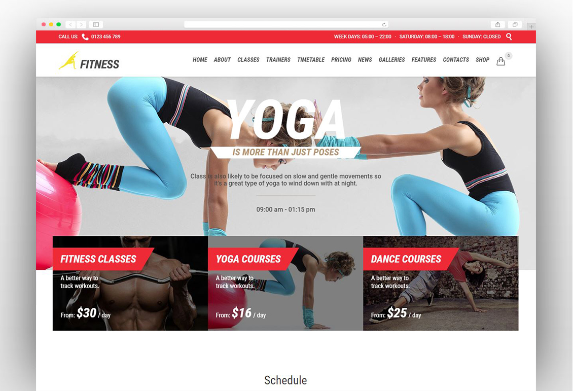 Gym Fitness – WordPress
