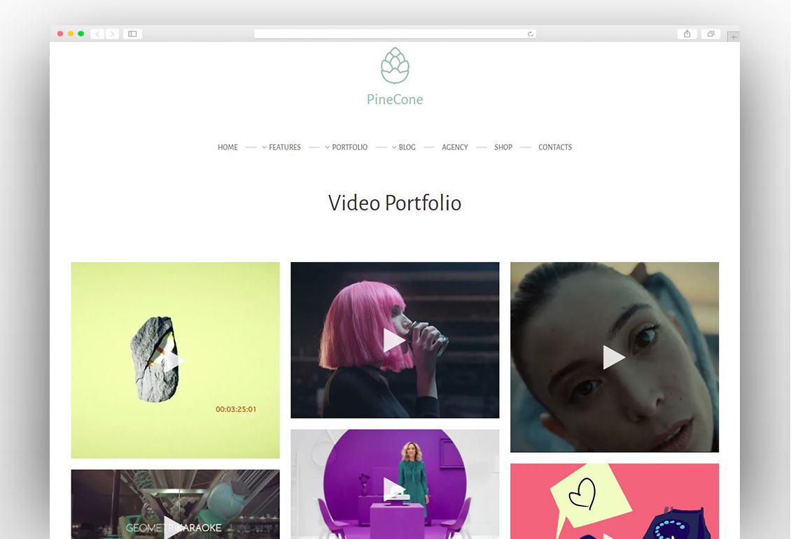 PineCone - Creative Portfolio and Blog for Agency