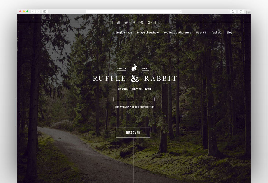 Rabbit - Exclusive Coming Soon WordPress Theme