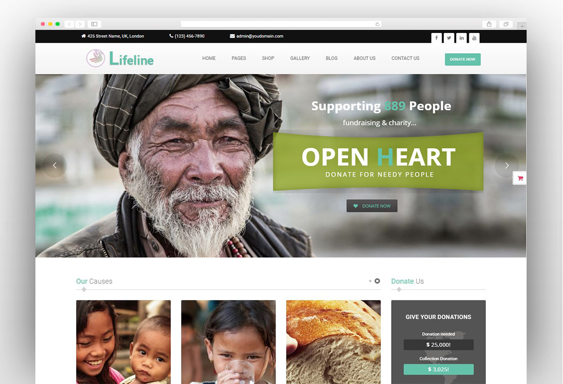 Lifeline - NGO, Fund Raising and Charity WordPress Theme
