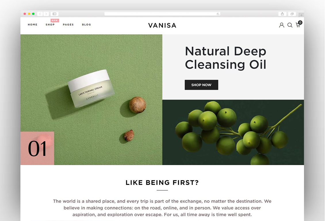 Vanisa - Organic Beauty Store & Natural Cosmetics Shopify Theme