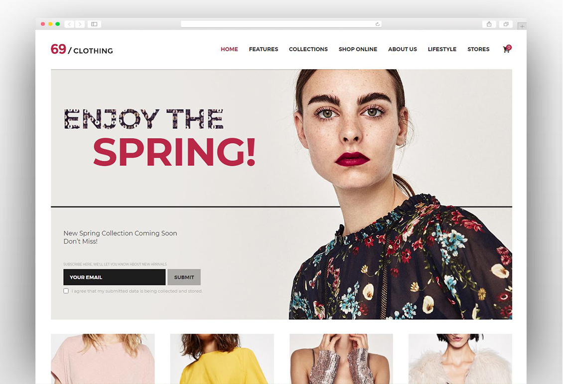 Most Popular Boutique WordPress Themes 2021