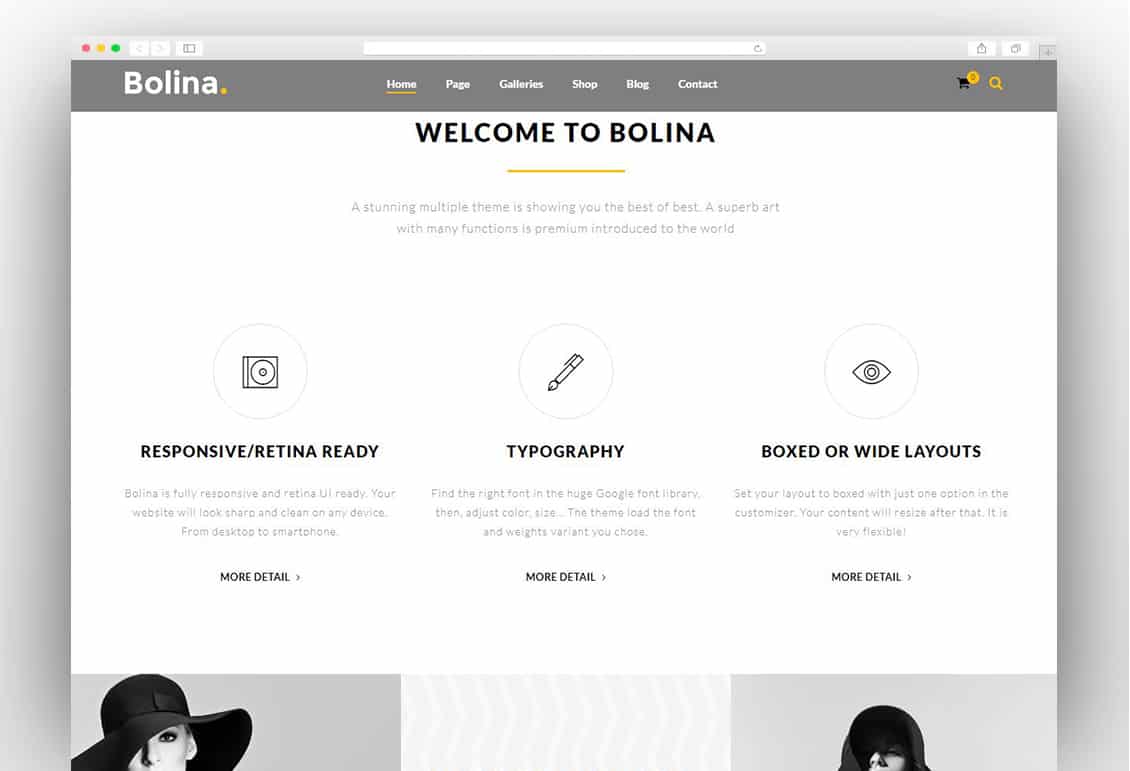 Bolina - Trendy & Stylist WordPress Theme