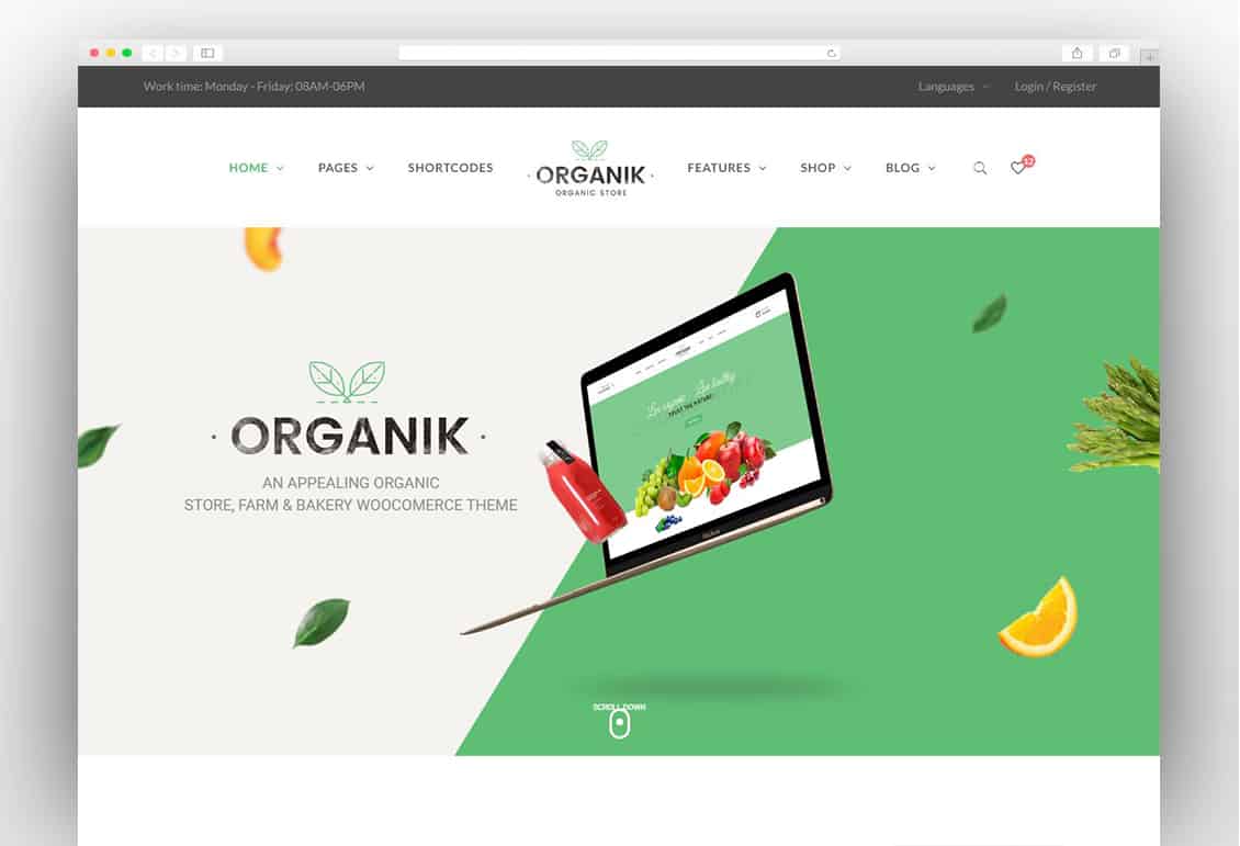 Organik - Organic Food Store WordPress Theme
