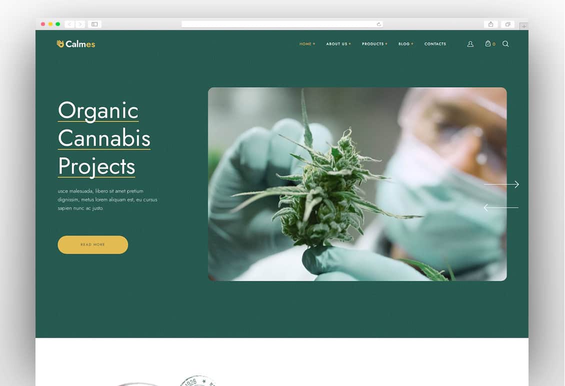 Calmes - Medical Marijuana WordPress Theme