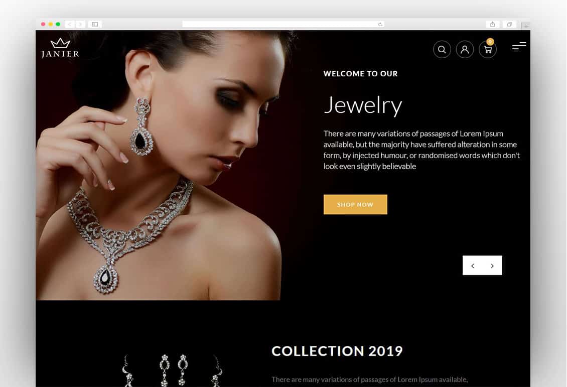 28 Best Jewelry Shopify Themes 2021 - New Template