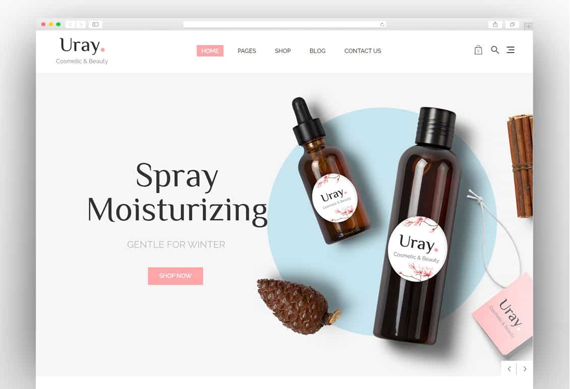 Cosmetic & Beauty Shop WordPress WooCommerce Theme