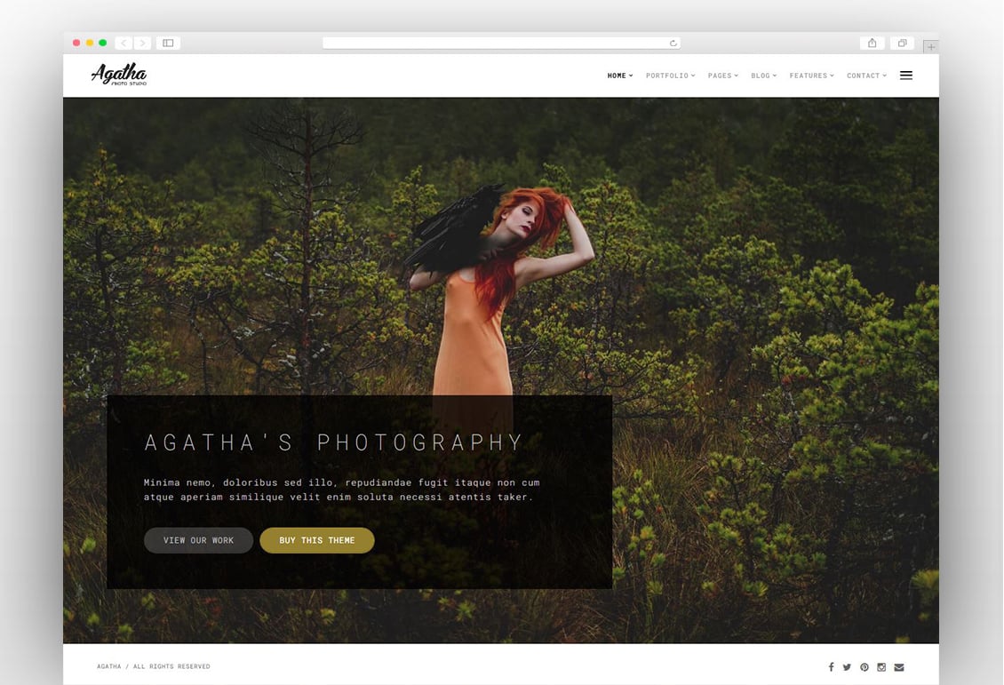 Agatha | Art Gallery Photography Theme