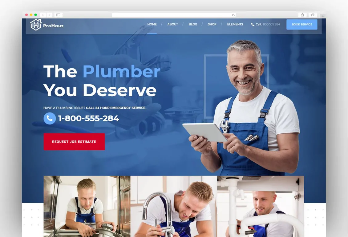 ProHauz – Handyman & Plumber